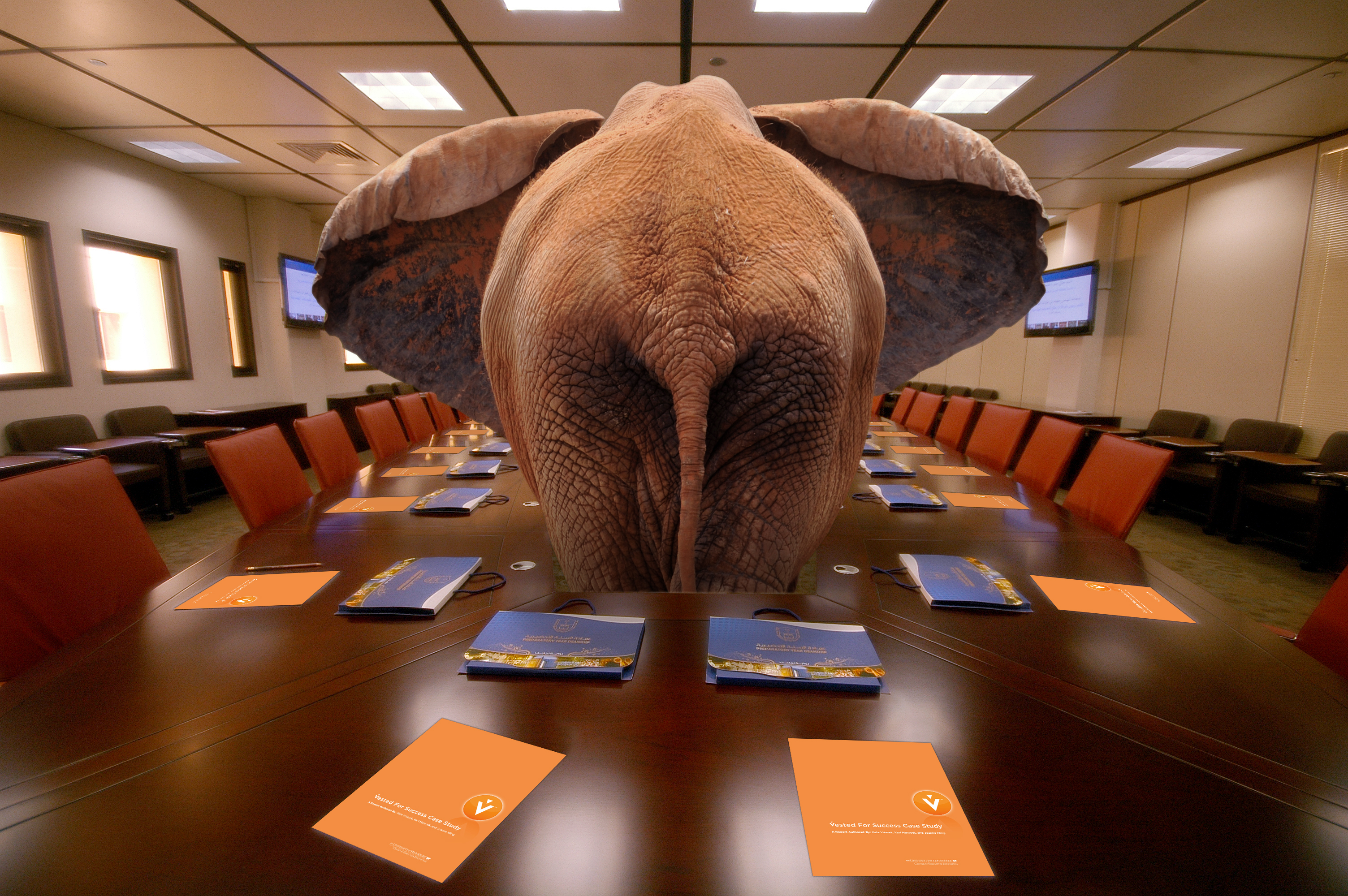 Toxic relationship with money an elephant in the long room at